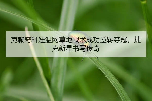 ke-lai-qi-ke-wa-wen-wang-cao-di-zhan-shu-cheng-gong-ni-zhuan-duo-guan-jie-ke-xin-xing-shu-xie-chuan-qi-2-147.jpg
