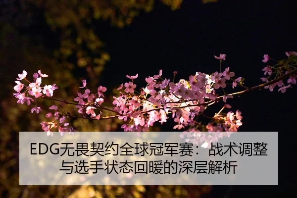 EDG无畏契约全球冠军赛：战术调整与选手状态回暖的深层解析