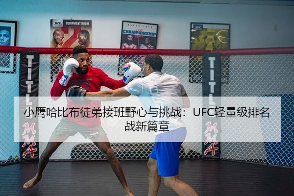 小鹰哈比布徒弟接班野心与挑战：UFC轻量级排名战新篇章